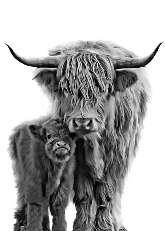 Black & White Highland Cow Poster Canvas Wall Art